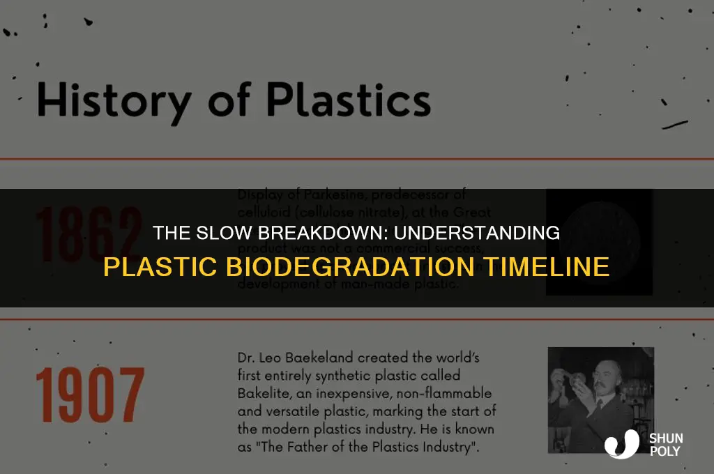 how long does it take plastic to biodegrade