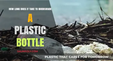 Plastic Bottle Biodegradation Timeline: Understanding the Environmental Impact