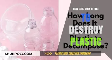 The Shocking Truth About Plastic Decomposition: A Timeline