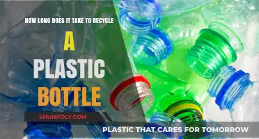 Recycling Timeline: How Long Does a Plastic Bottle Take?
