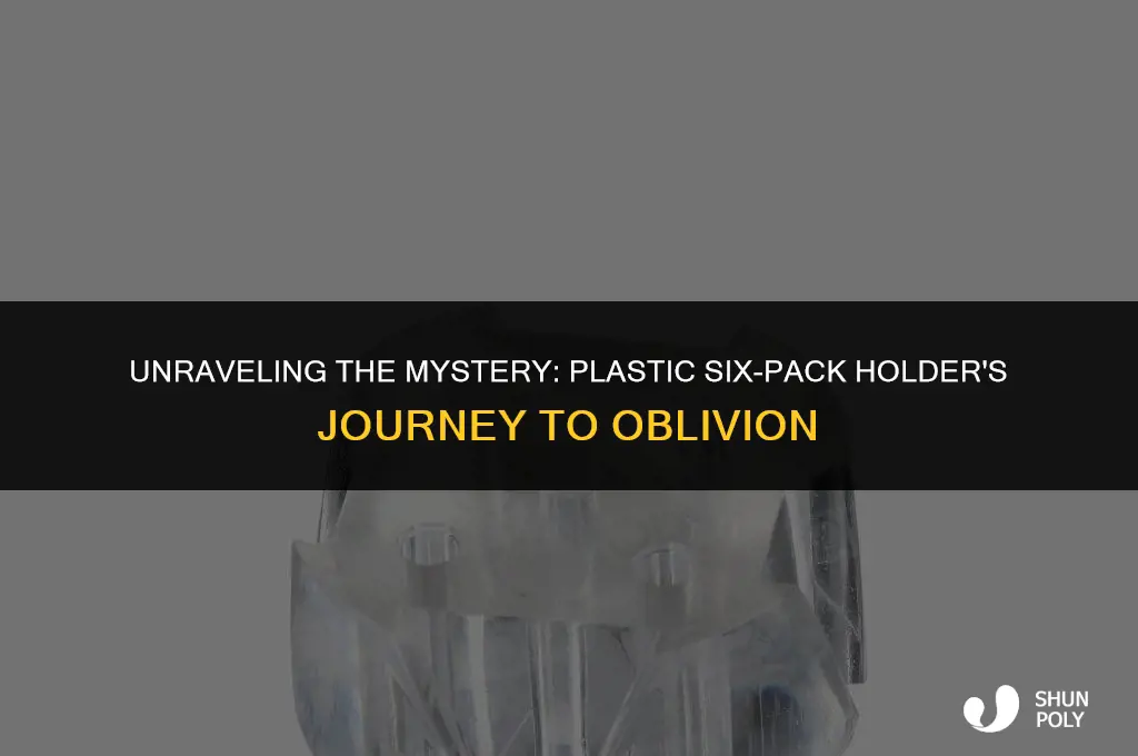 how long does it to disintegrate plastic 6 pac holder