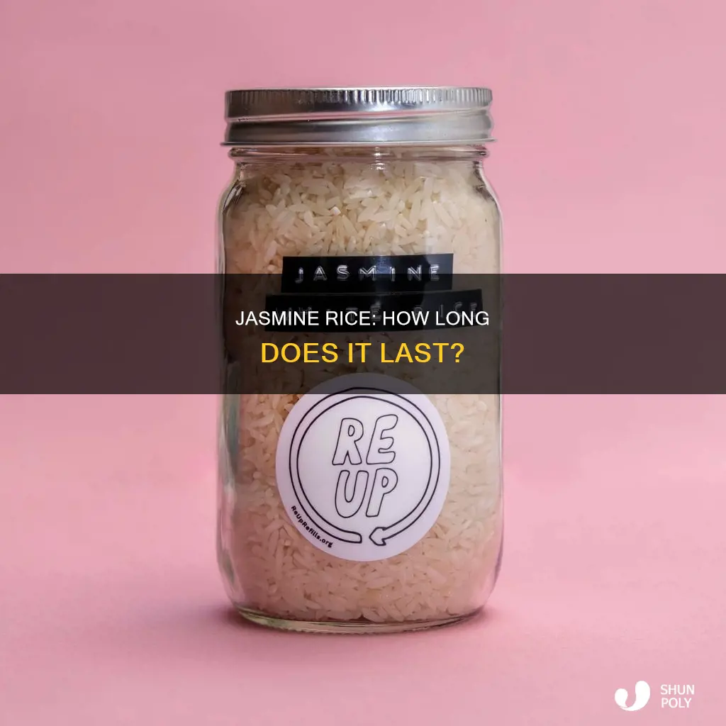 how long does jasmine rice last in plastic container
