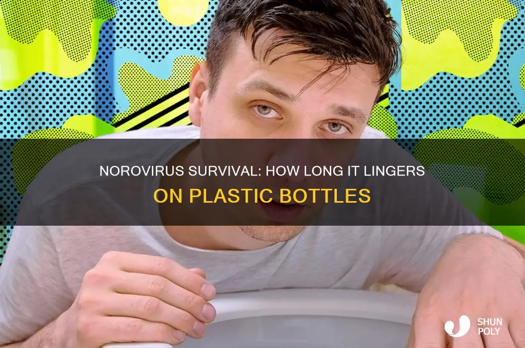 how long does norovirus last on a plastic bottle