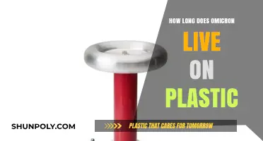Omicron's Lifespan on Plastic: What You Need to Know