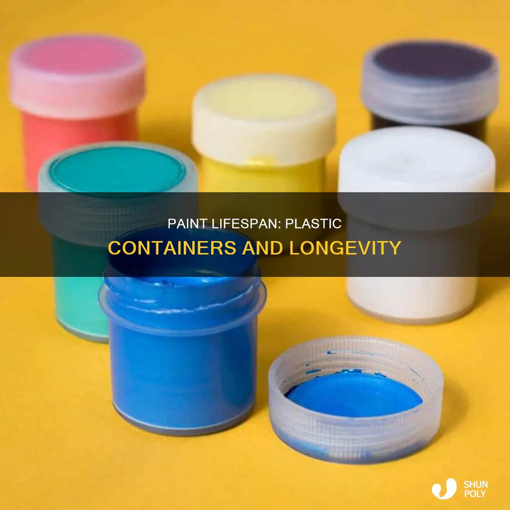how long does paint last in a plastic container