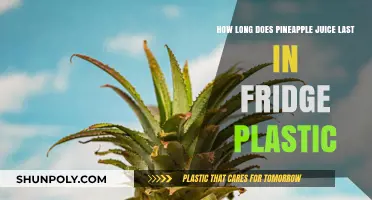 Shelf Life of Pineapple Juice in Plastic Containers: A Comprehensive Guide