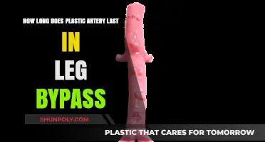 Durability of Plastic Arteries in Leg Bypass Surgeries: A Comprehensive Guide