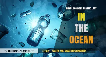 The Enduring Impact: Plastic's Lifespan in Our Oceans