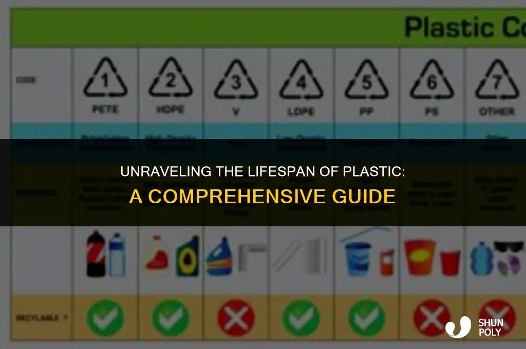 how long does plastic last