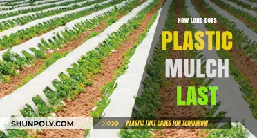 Durability Unveiled: The Lifespan of Plastic Mulch in Your Garden
