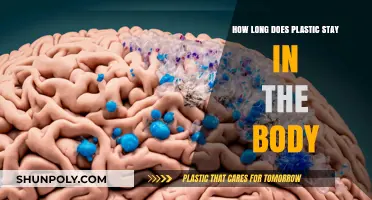The Lingering Impact: How Long Does Plastic Stay in Our Bodies?