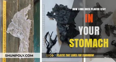 The Shocking Truth About Plastic's Journey Through Your Body