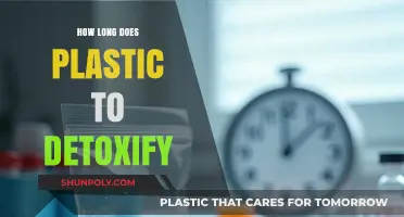 The Detoxification Timeline of Plastic: A Comprehensive Guide