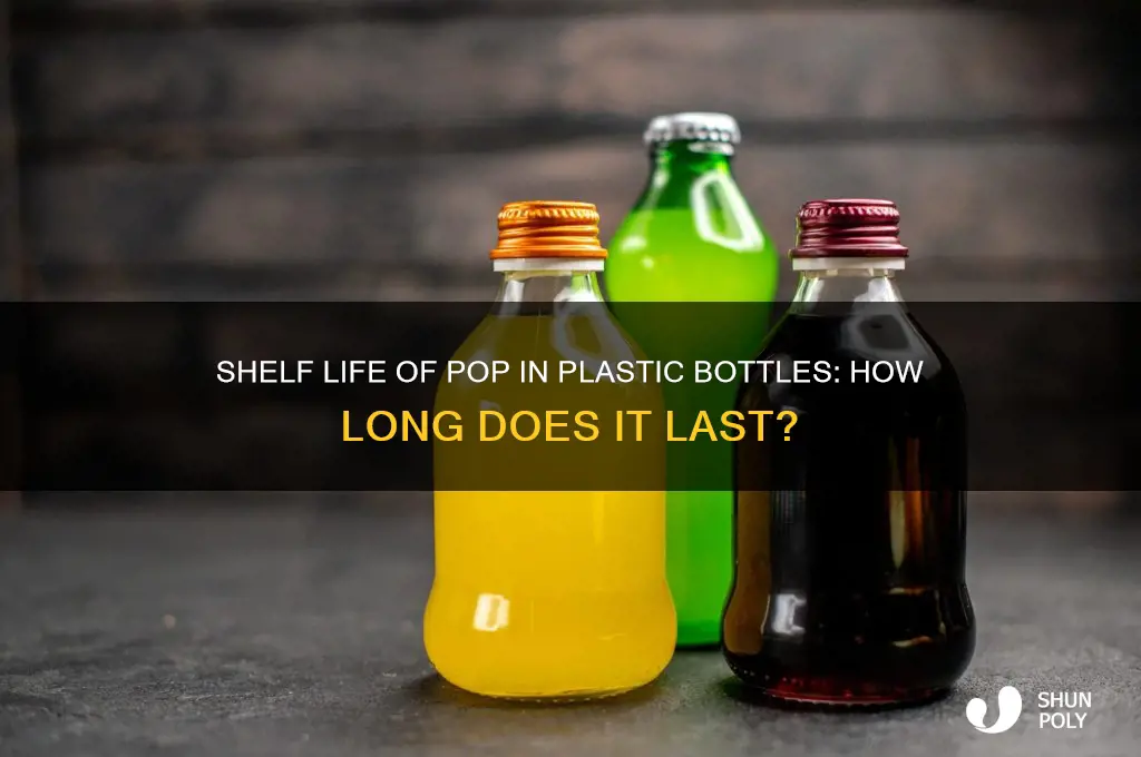 Shelf Life Of Pop In Plastic Bottles: How Long Does It Last? | ShunPoly