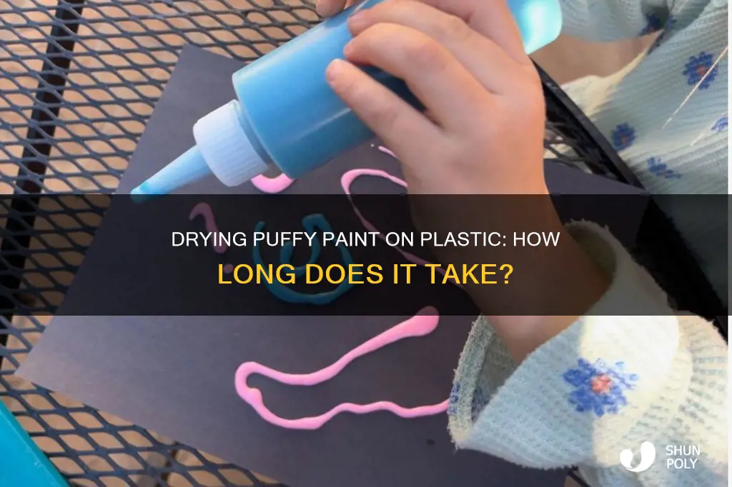 how long does puffy paint take to dry on plastic