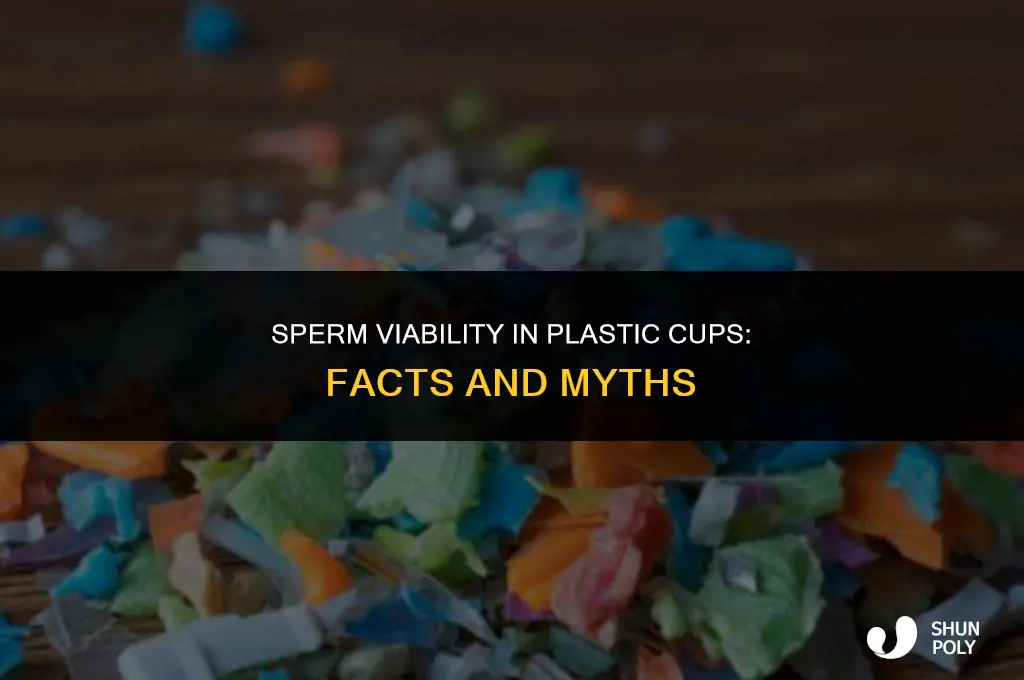 how long does sperm live in a plastic cup