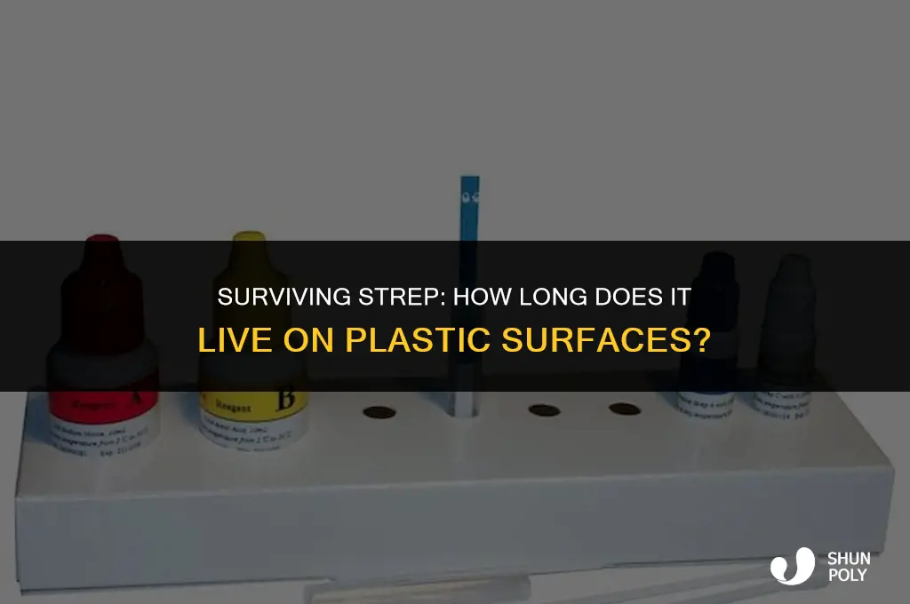 how long does strep live on plastic