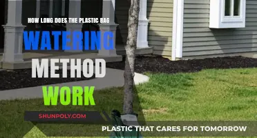 Plastic Bag Watering: How Long Does This Method Last?