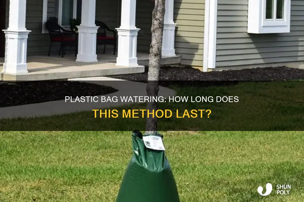 how long does the plastic bag watering method work