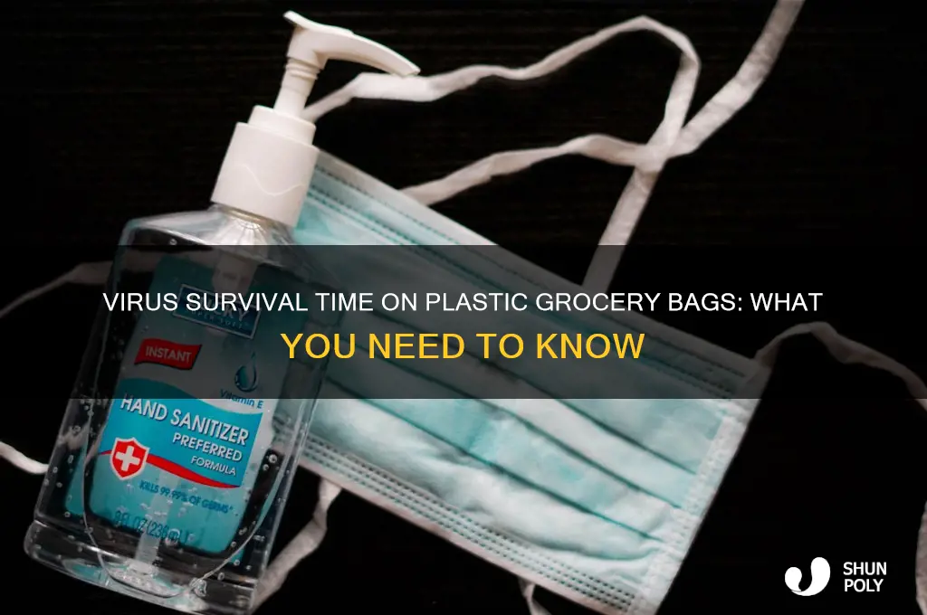 how long does the virus last on plastic grocery bags