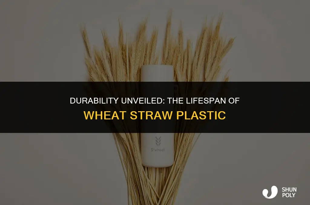 how long does wheat straw plastic last