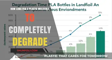 Unraveling the Timeline: How Long Does Plastic Take to Degrade?