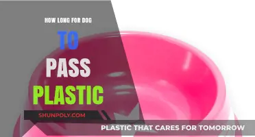 Understanding the Timeline: How Long Does It Take for a Dog to Pass Plastic?