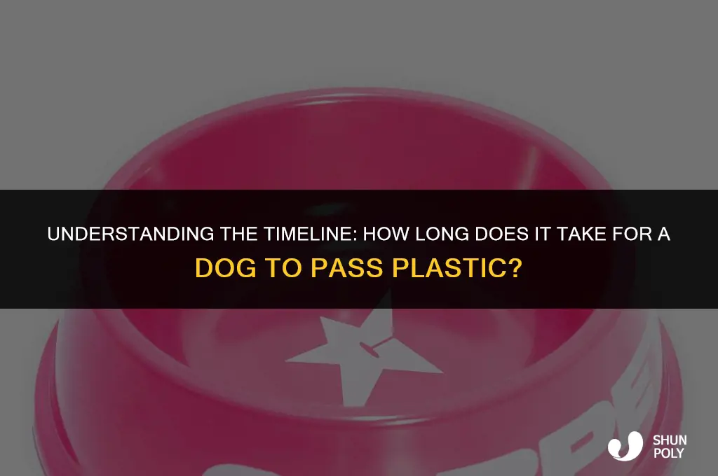 how long for dog to pass plastic