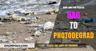 Plastic Bag Photodegradation Timeline: Understanding the Slow Breakdown Process