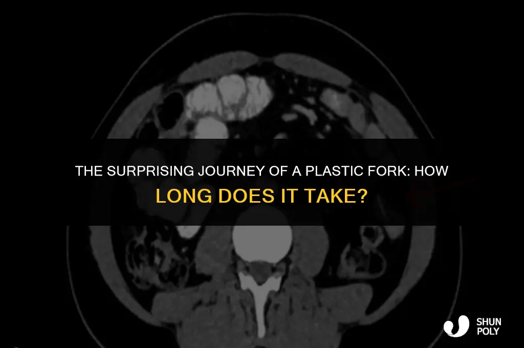 how long for plastic fork tong to pass through body
