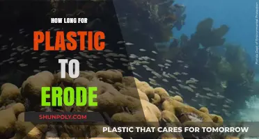 The Persistent Problem: Understanding Plastic's Erosion Timeline