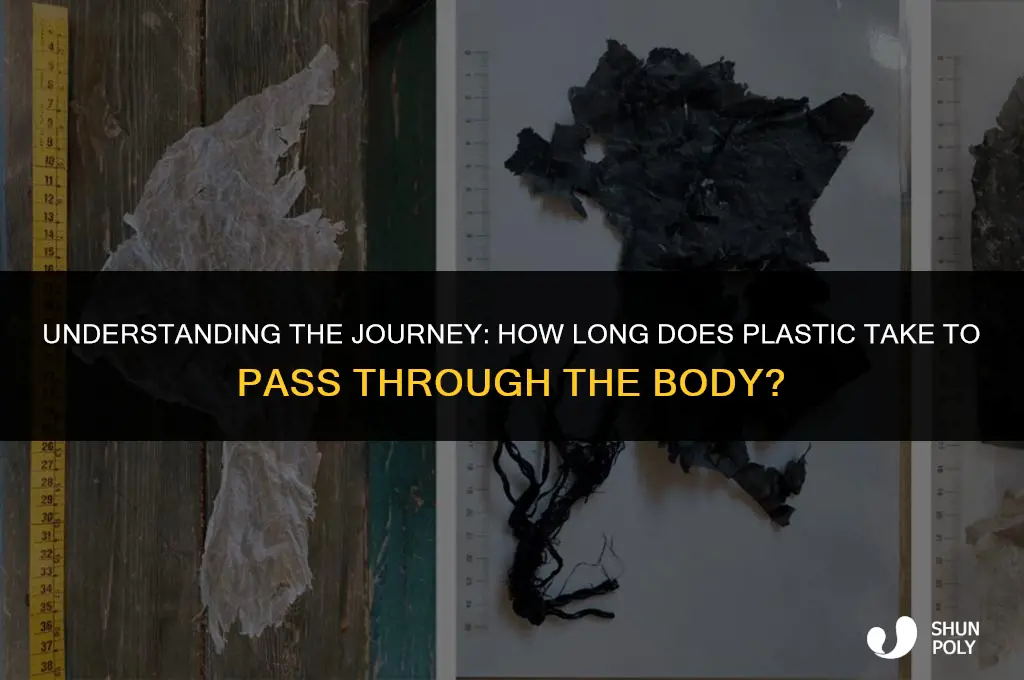 how long for plastic to pass through body