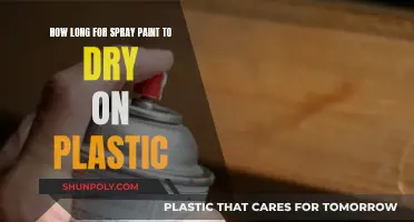 Spray Paint on Plastic: Drying Time and Techniques