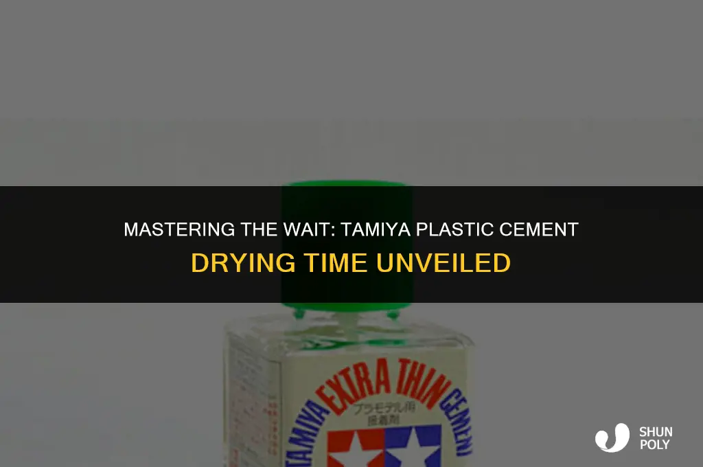 how long for tamiya plastic cement to dry