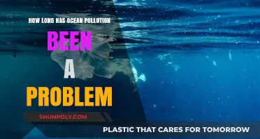 The Persistent Plague: A Timeline of Ocean Pollution
