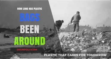 The Surprising History and Evolution of Plastic Bags