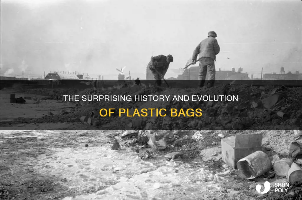 how long has plastic bags been around