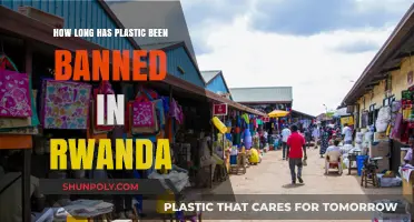 Rwanda's Plastic Ban: A Decade of Environmental Stewardship