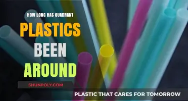 Exploring the History and Longevity of Quadrant Plastics