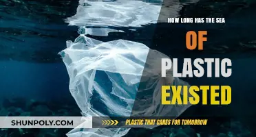 Unveiling the Timeless Plague: The Enduring Sea of Plastic