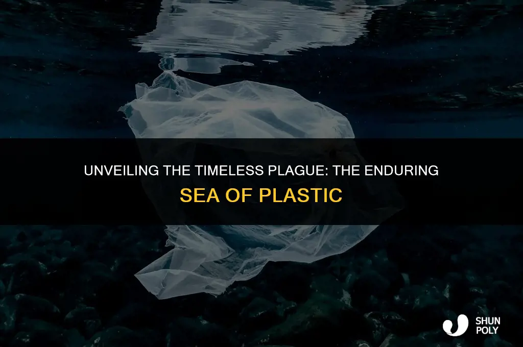 how long has the sea of plastic existed