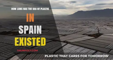 Unveiling the Enduring Presence of Spain's Sea of Plastic