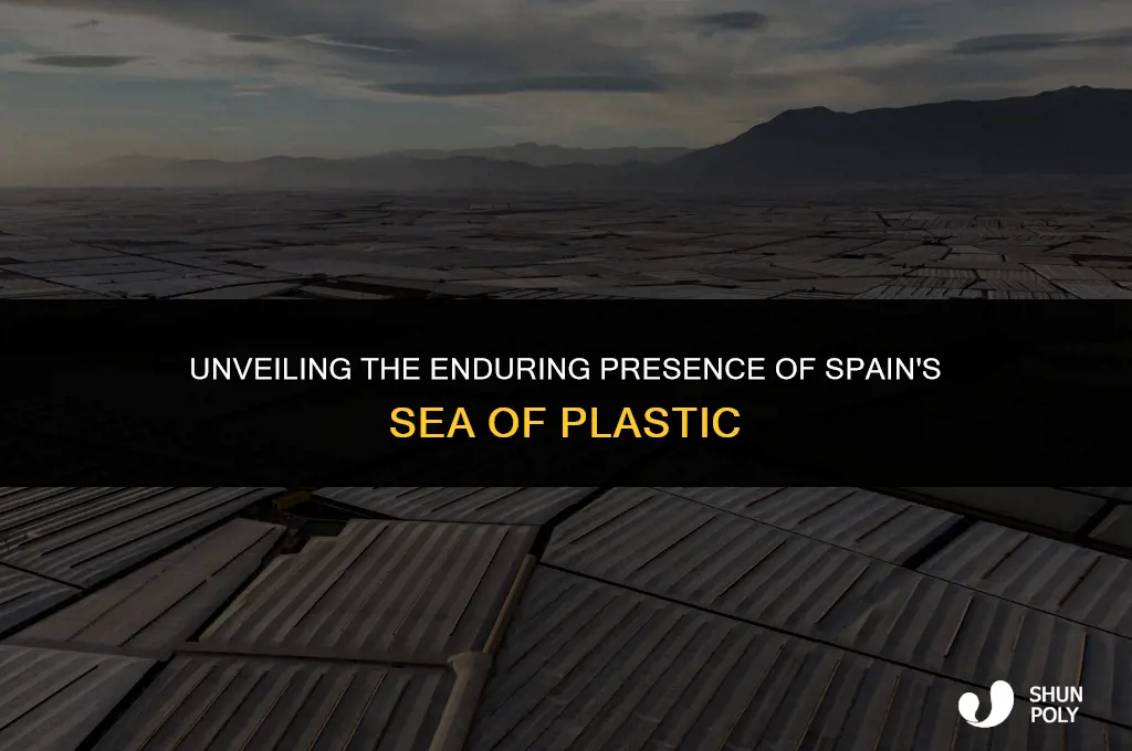 how long has the sea of plastic in spain existed