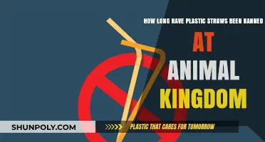 Plastic Straws Ban at Animal Kingdom: A Timeline of Environmental Progress