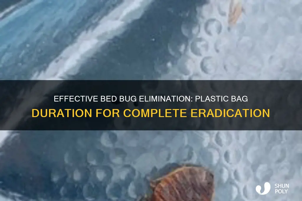 how long in plastic bag to kill bed bugs