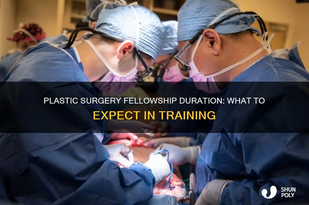 how long is a plastic surgery fellowship