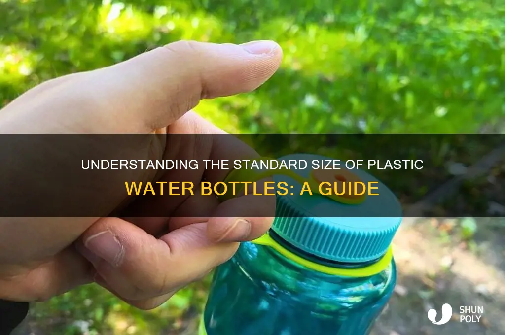 how long is a plastic water bottle