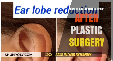 Ear Lobe Surgery Recovery: What to Expect After Plastic Surgery