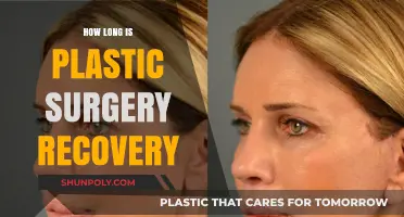 Plastic Surgery Recovery Timeline: What to Expect After Your Procedure