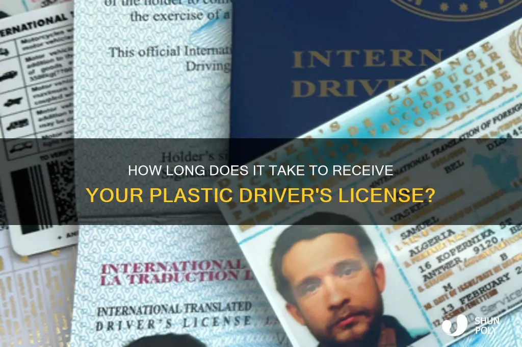how long it take to get plastic dl